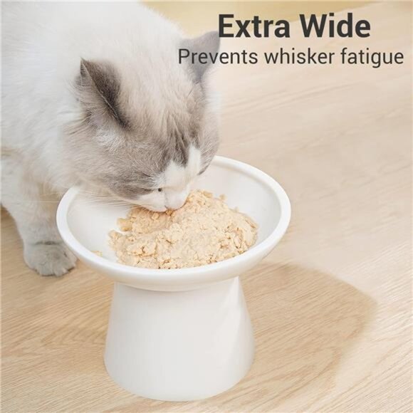 Extra Wide Elevated Ceramic Cat Bowl - 6.2" Shallow Dish for Whisker Fatigue - Picture 3 of 7